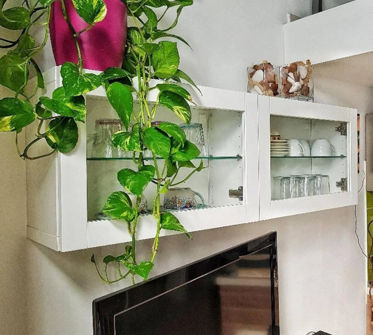 Apartment Borgo Santa Caterina - Fiera 